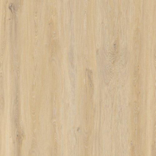 Alder