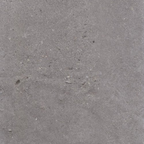 Ash Close Up