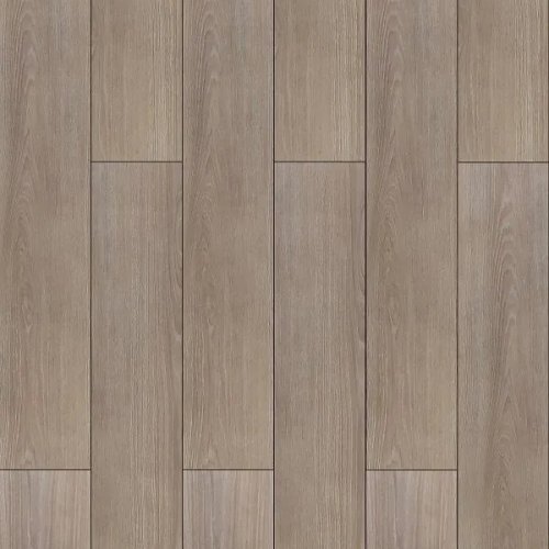 Cashewnut Oak