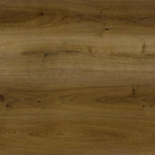 Cedar