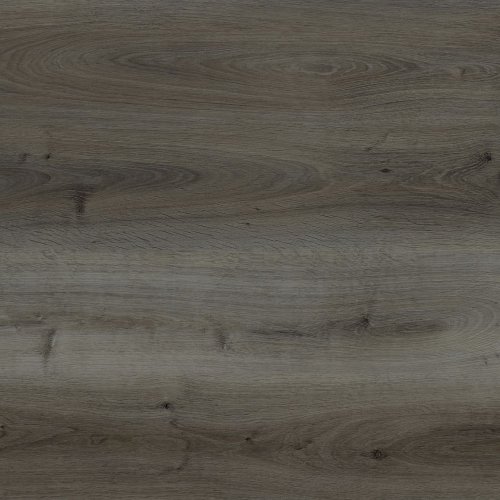 Charred Larch Cabin