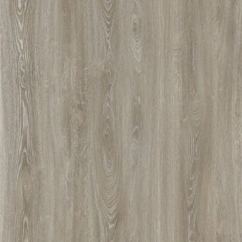 Chronical Oak
