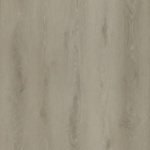 Cosmic Oak