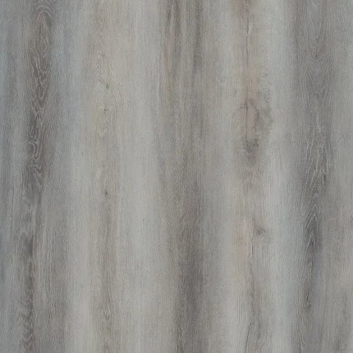 Ice Fossil