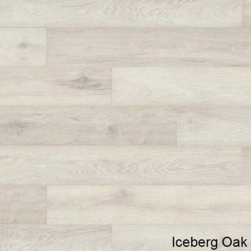Iceberg oak