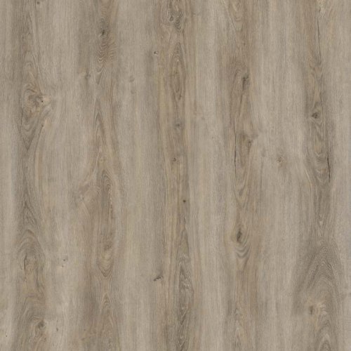 Jarrah