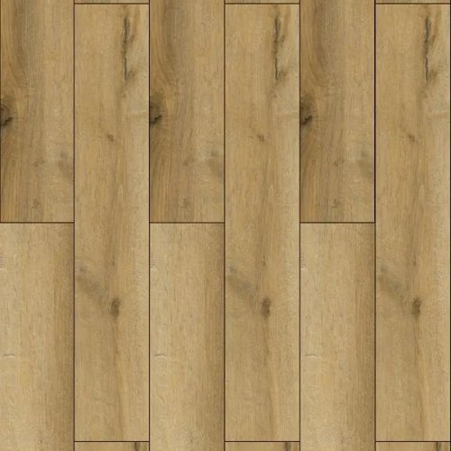 Pinoli Oak