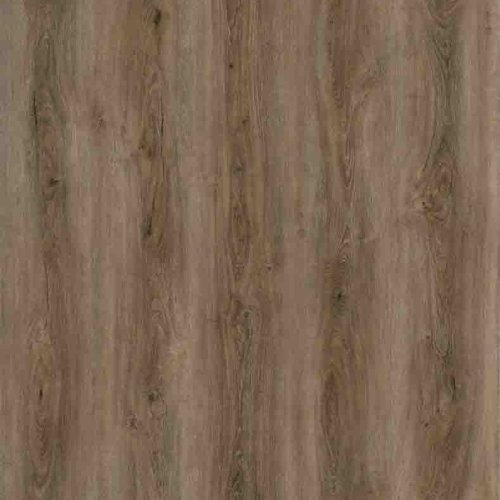 Poplar