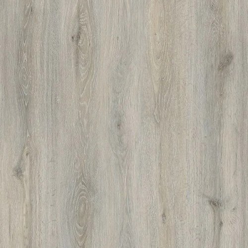 Sardine Oak