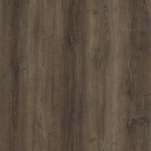 Sear Oak