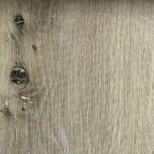 Dusky oak
