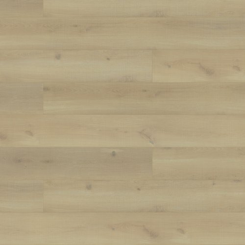Sunkissed Oak